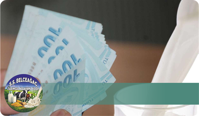 Üretici Destek ve Koordinasyon Hizmetleri