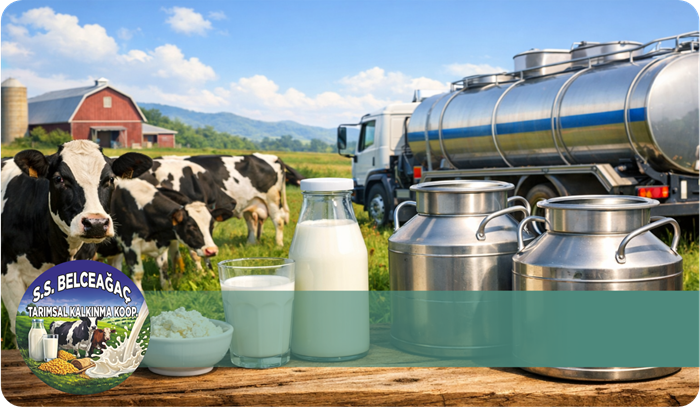 Üreticilerden Süt Toplama Hizmeti