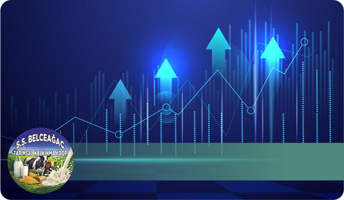 Süt Pazarlama ve Satış Organizasyonu